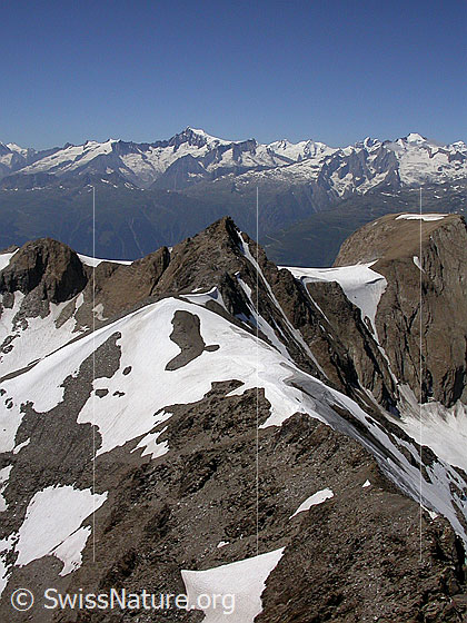 Foto: Blick vom Gipfel des Turbhorn zu Ober Rappehorn und Rappehorn. Darüber die Berner Alpen.