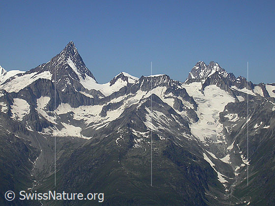 Foto: Blick vom Gipfel des Turbhorn zu Finsteraarhorn, Studerhorn, Schreckhorn, Lauteraarhorn, Oberaarhorn, etc..