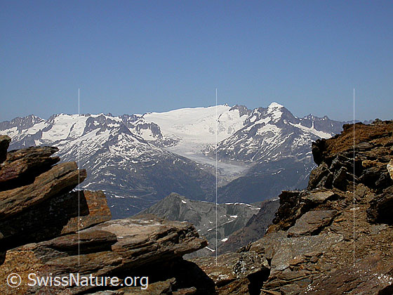 Foto: Blick vom Gipfel des Turbhorn zu Rhonegletscher, Dammastock und Galenstock.