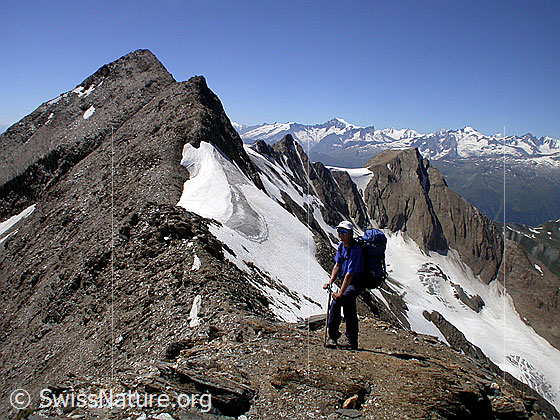 Foto: Alpinistin auf dem E-Grat des Turbhorn. Im Hintergrund die Berner Alpen.