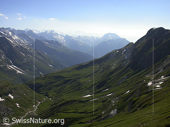 Foto: Im Abstieg vom Turbhorn: Blick über die Turbealp und das Binntal Richtung Walliser Alpen.