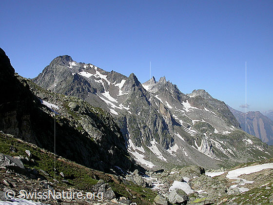 Foto: Im Aufstieg zum Ofenhorn. Blick vom Eggerofe Richtung W. Albrunhorn, Schinhörner, Breithorn.