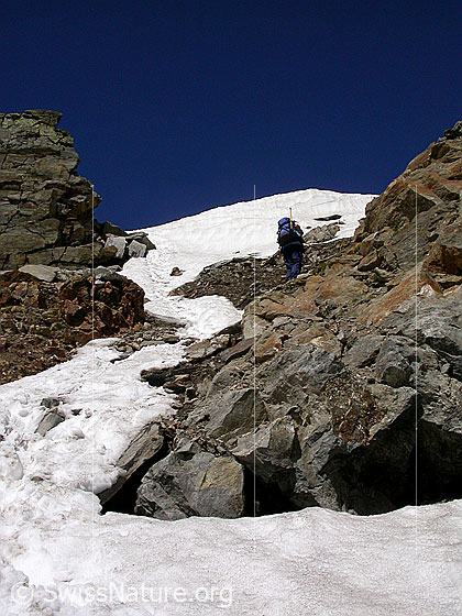 Foto: Im Aufstieg zum Ofenhorn. E-Seite der Eggerscharte. Alpinistin im Abstieg.