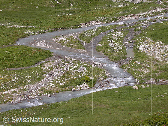 Foto: Binna bei Blatt.