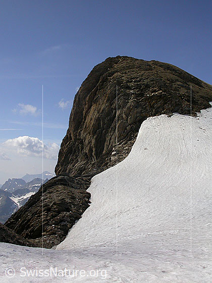 Foto: Pt. 3128 beim Ober Rappehorn.