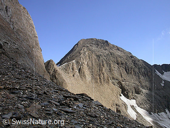 Foto: Ober Rappehorn