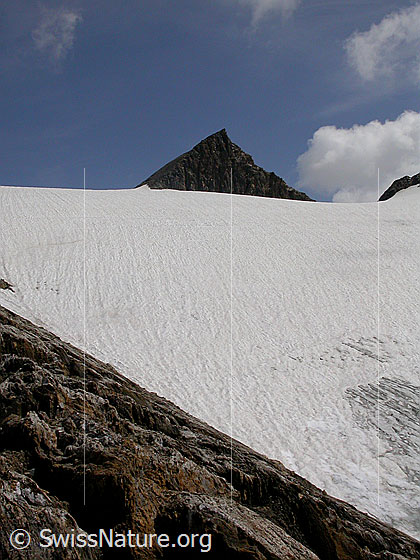 Foto: Feldbachgletscher und Pt. 3124 Turbechepf
