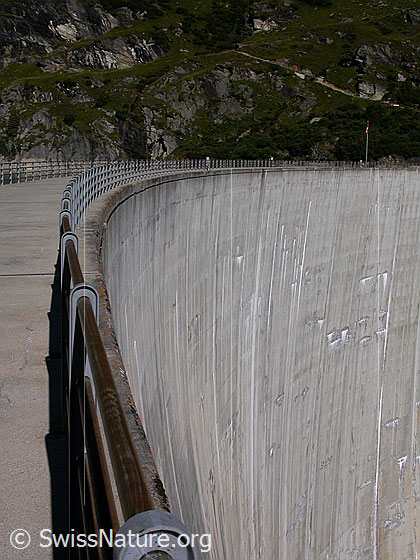 Foto: Staumauer des Zervreilasee.