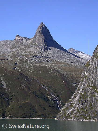 Foto: Zervreilasee und Zervreilahorn.