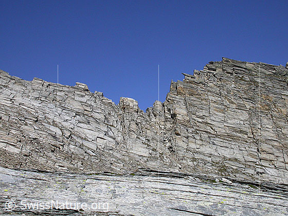 Foto: Felsgrat (Ausschnitt) zwischen Frunthorn und Dachberg von S.