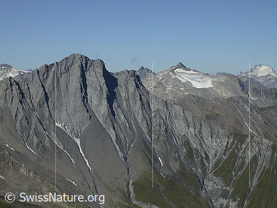 Foto: Piz Terri von ESE (Gipfel Frunthorn).
Rechts davon Piz Greina und Oberalpstock.