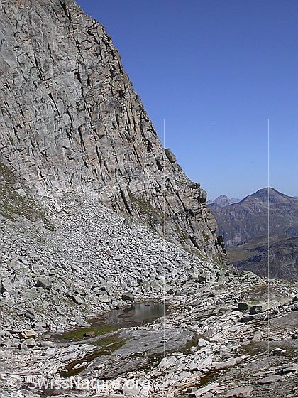 Foto: Fruntseeli und die W-Wand des Dachberg.
