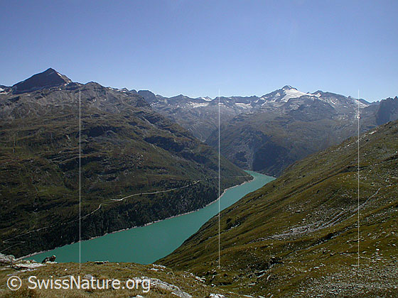 Foto: Fanellhorn, Güferhorn, u.a. darunter der Zervreilasee. Blick von Pt. 2521 S Dachberg.