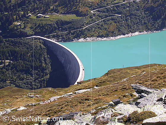 Foto: Zervreilasee mit Staumauer von N (oberhalb Fruntstafel)