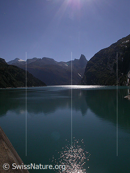 Foto: Schwache Spiegelung im Zervreilasee. Im Hintergrund Güferhorn und Zervreilahorn.