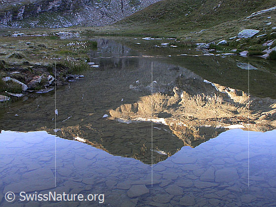 Foto: Spiegelung des Fanellhorn im Guraletschsee.