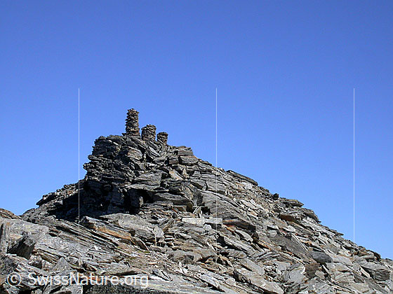 Foto: Gipfel Fanellhorn