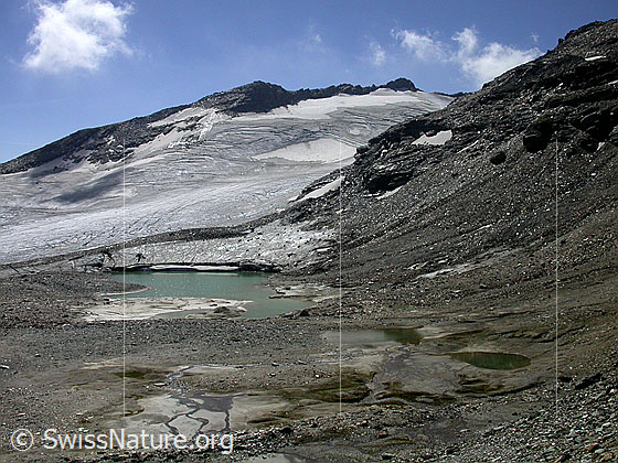 Foto: Bergseen südlich des Fanellhorn: Dritter Bergsee, dahinter der Fanellgletscher und ein Ausläufer des Lorenzhorn. Der Gletscher bricht in den Bergsee ab.
