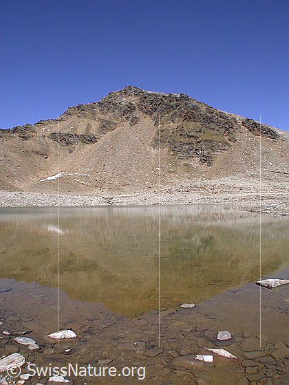 Foto: Bergseen südlich des Fanellhorn: Blick über den zweiten Bergsee zum Fanellhorn. Schwache Spiegelung.