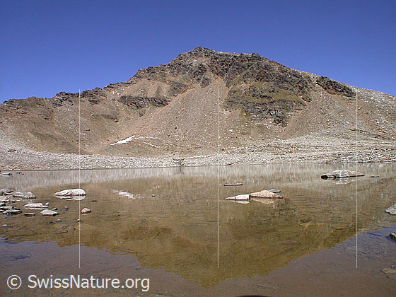 Foto: Bergseen südlich des Fanellhorn: Blick über den zweiten Bergsee zum Fanellhorn. Schwache Spiegelung.