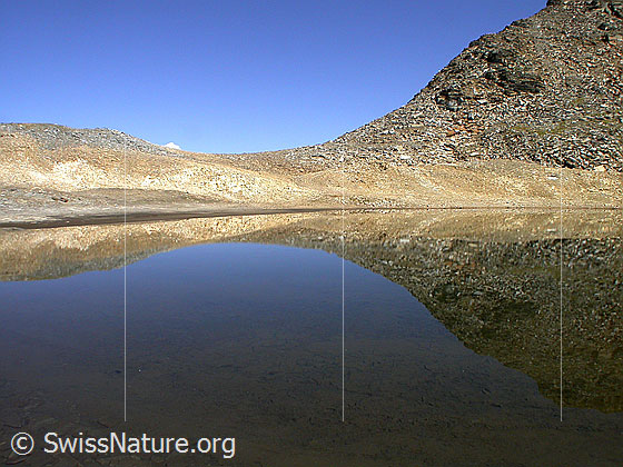 Foto: Dunkler Bergsee am Fuss der W-Flanke des Fanellhorn: Spiegelung.