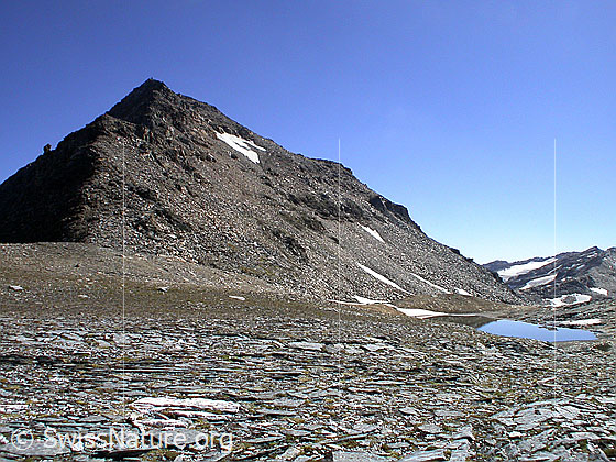 Foto: Fanellhorn mit Bergsee von NW.
