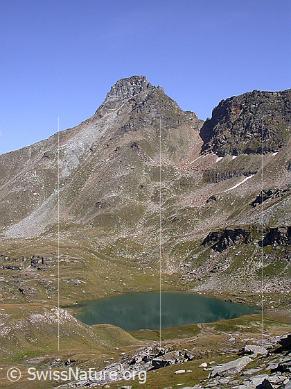 Foto: Guraletschhorn und Guraletschsee von WSW.