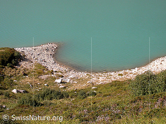 Foto: Ufer des Zervreilasee.