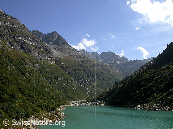 Foto: Blick in das Canaltal. Im Vordergrund der Zervreilasee.