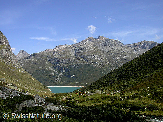 Foto: Blick über den westlichen Seitenarm des Zervreilasee zu Guraletschhorn und Fanellhorn.