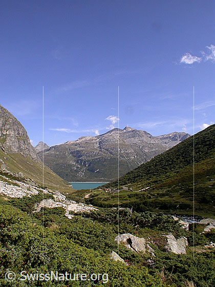 Foto: Blick über den westlichen Seitenarm des Zervreilasee zu Guraletschhorn und Fanellhorn.