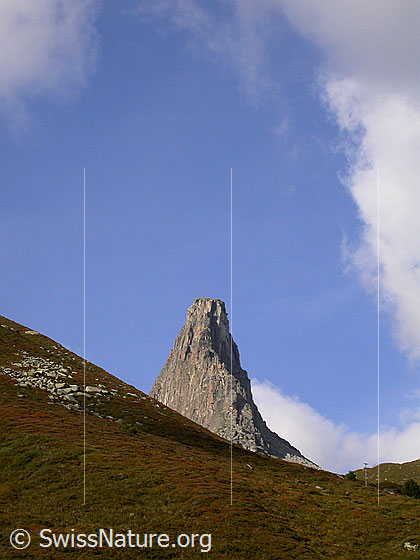 Foto: Zervreilahorn