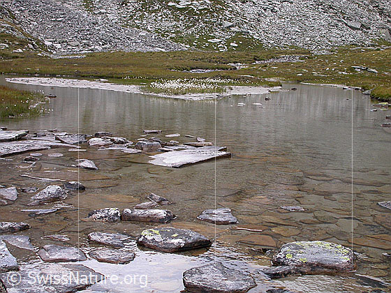 Foto: Schwemmebene unterhalb Furggelti.