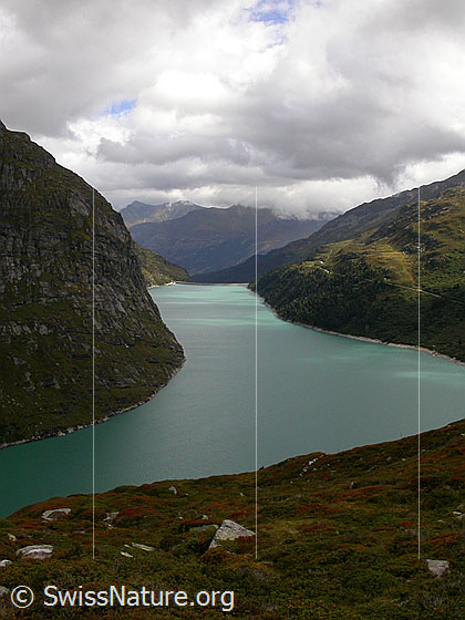 Foto: Tiefblick auf den Zervreilasee