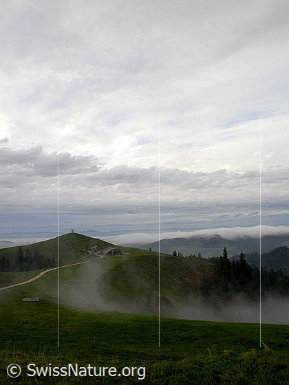 Foto: Herbstliche Stimmung im Emmental. Hügel mit Baum. Davor ein Bauernhof. Nebelmeer über dem Mittelland. Im Hintergrund der Jura.