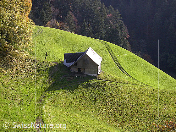 Foto: Stall im Emmental