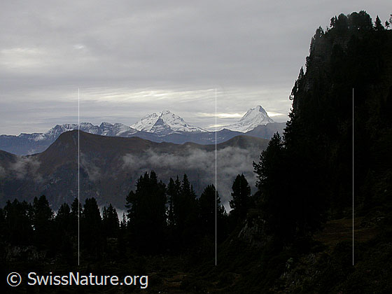 Foto: Im Aufstieg zur Hohganthütte: Zu Gummhorn, Wetterhorngruppe und Schreckhorn. Rechts im Vordergrund die Bröndlisflue.