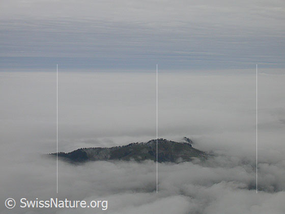 Foto: Hohgant / Furggengütsch: Blick auf die Marbachegg, welche aus dem Nebelmeer über dem Mittelland ragt. Darüber aus Norden aufziehende Wolken.