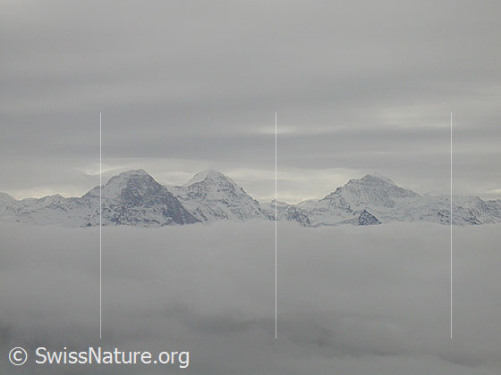 Foto: Hohgant / Furggengütsch: Blick über Nebelmeer zu Eiger, Mönch und Jungfrau. Darüber eine Wolckendecke (Schichtwolken).