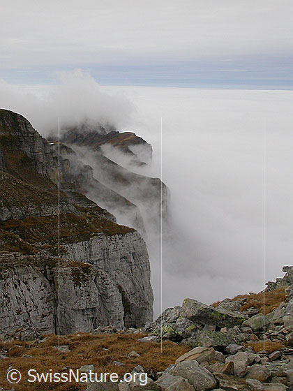 Foto: Hohgant / Furggengütsch: Aufziehende Nebelschwaden an den Felswänden des Hohgant-Massivs. Dahinter ein Nebelmeer über dem Mittelland.