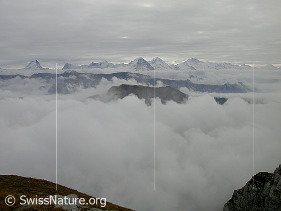 Foto: Hohgant / Furggengütsch: Blick zu den Berner Alpen. Aus den Wolken ragt u.a. das Augstmatthorn. Der Himmel ist mit Schichtwolken überzogen.