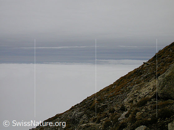 Foto: Hohgant / Furggengütsch: Blick auf das Nebelmeer über dem Mittelland. Darüber aus Norden aufziehende Schichtwolken, welche einen Wetterumschlag ankünden.