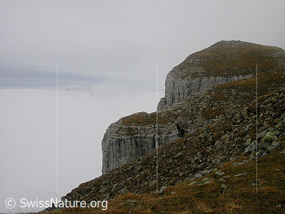 Foto: Hohgant / Furggengütsch: Gipfel mit Nebelmeer über dem Mittelland.