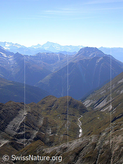 Foto: Blick von den Turbechepf über das Feldbachtal zu Breithorn und Bättlihorn.