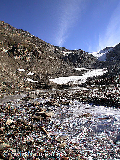 Foto: Blick von der kleinen Schwemmebene bei Pt. 2630 Richtung Hohsandhorn. Im Vordergrund dünne Eisschicht.
