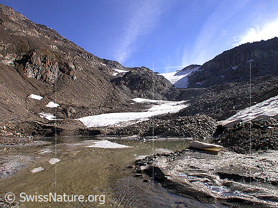 Foto: Blick von der kleinen Schwemmebene bei Pt. 2630 Richtung Hohsandhorn. Im Vordergrund ein kleiner See, in welchen der Rest des Gletschers mündet.