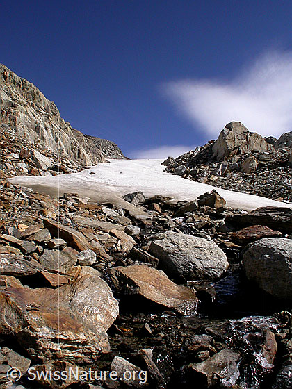 Foto: Übergang Geröll - Gletscher auf dem Weg zum Mittlebärgpass.
