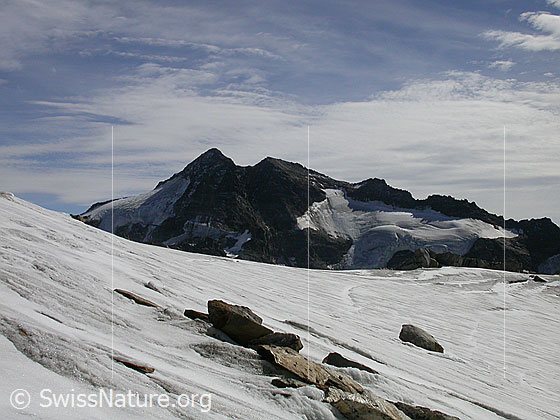 Foto: Auf dem Weg zum Mittlebärgpass: Blick zum Ofenhorn.