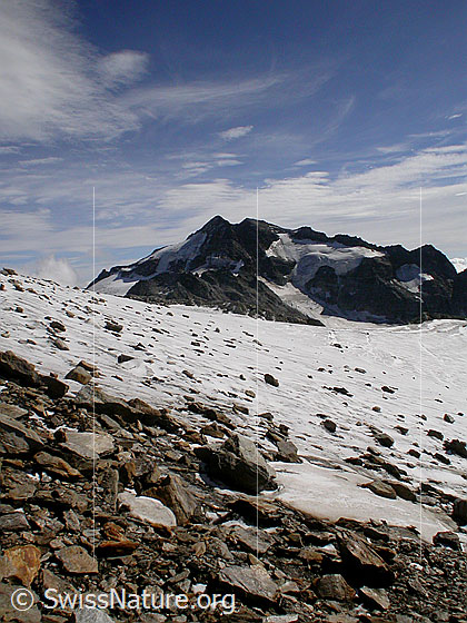 Foto: Auf dem Weg zum Mittlebärgpass: Blick zum Ofenhorn. Im Vordergrund der mit Geröll bedeckte Gletscher.