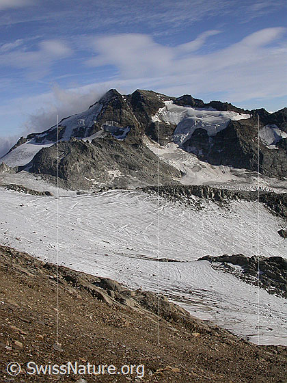 Foto: Gebiet Hohsandhorn / Strahlgrät: Blick über den Gletscher unterhalb des Mittlenbärgpass zum Ofenhorn. Zu sehen ist auch der Tälligletscher.